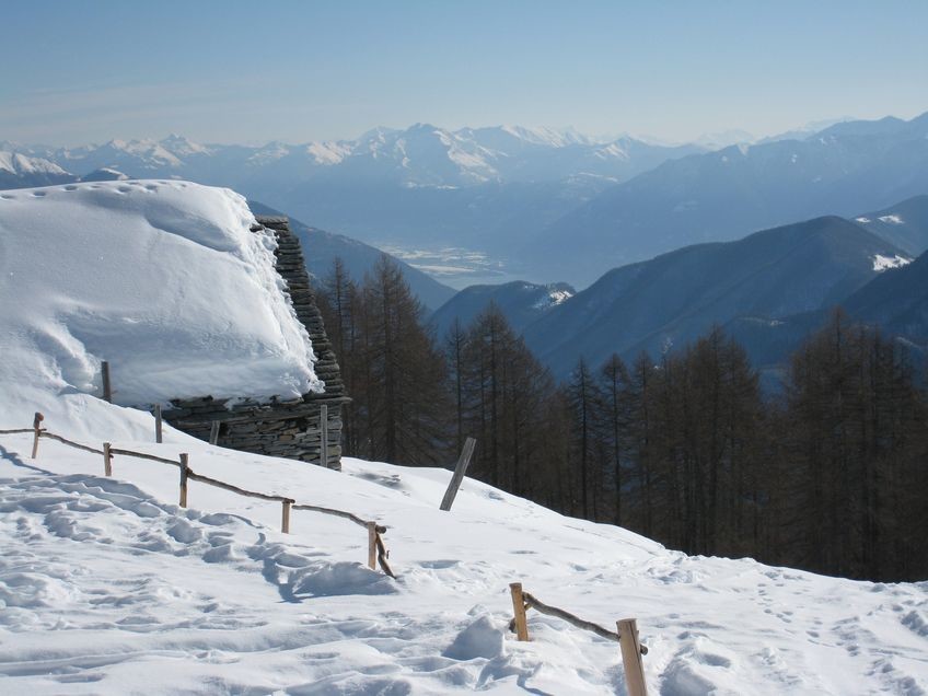 Alpe Pesced, montée au Pilone depuis Spruga