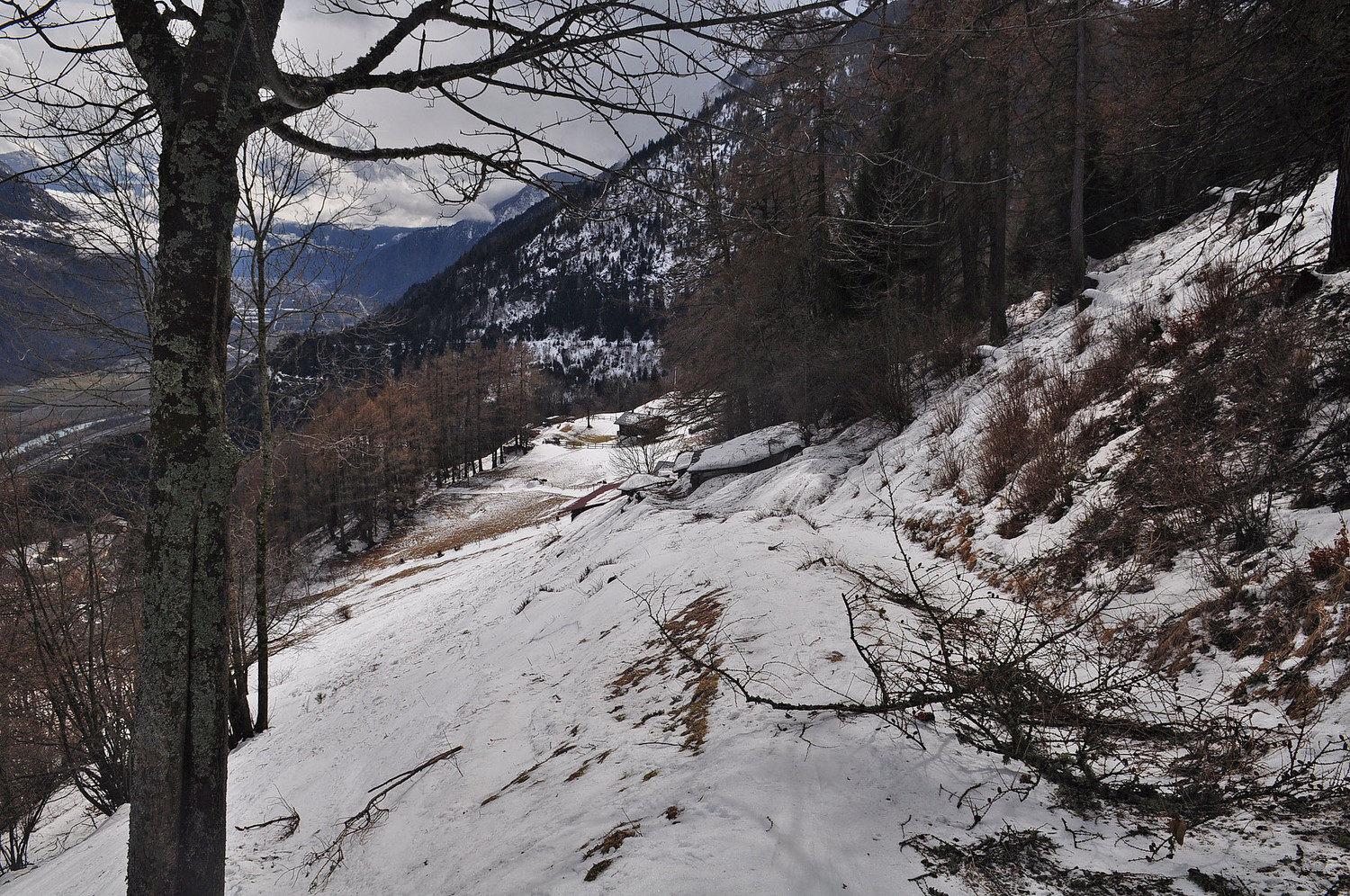 neige tapissée .... sur le chemin de départ ...