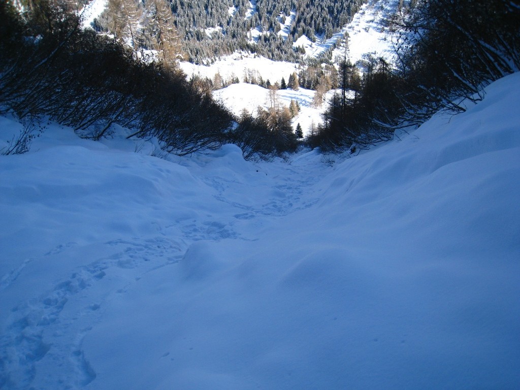 Couloir d'accès, juste au dessus de la clairière supérieure