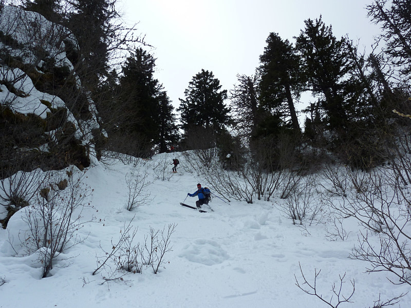 Ski (?) à l'abri de la forêt