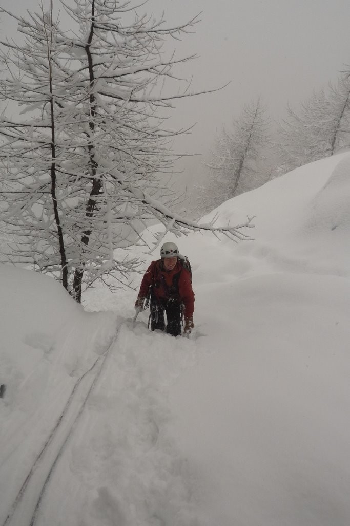 Ecrins - La Grave - Les Fréaux - Colère du Ciel - Brassage à L7