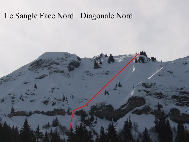 Diagonale N