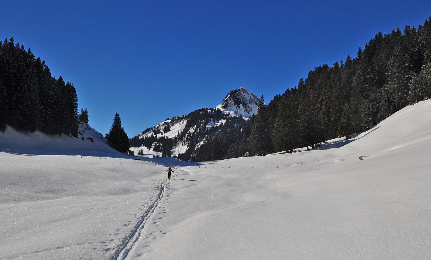 Plaine du Gros Mont pas gros monde (!)