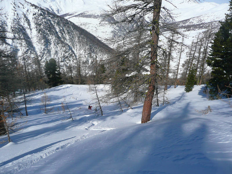 Bois de Ségure