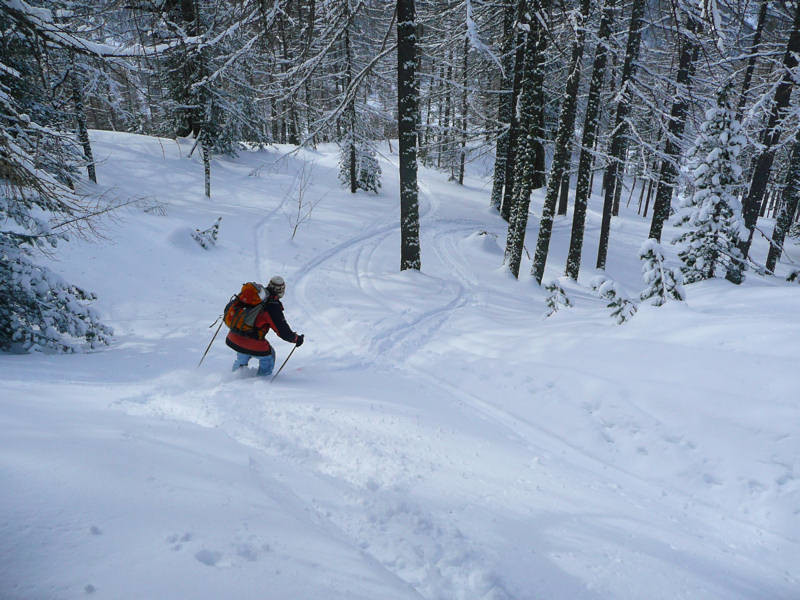 Bon ski dans le mélezin de Praroussin
