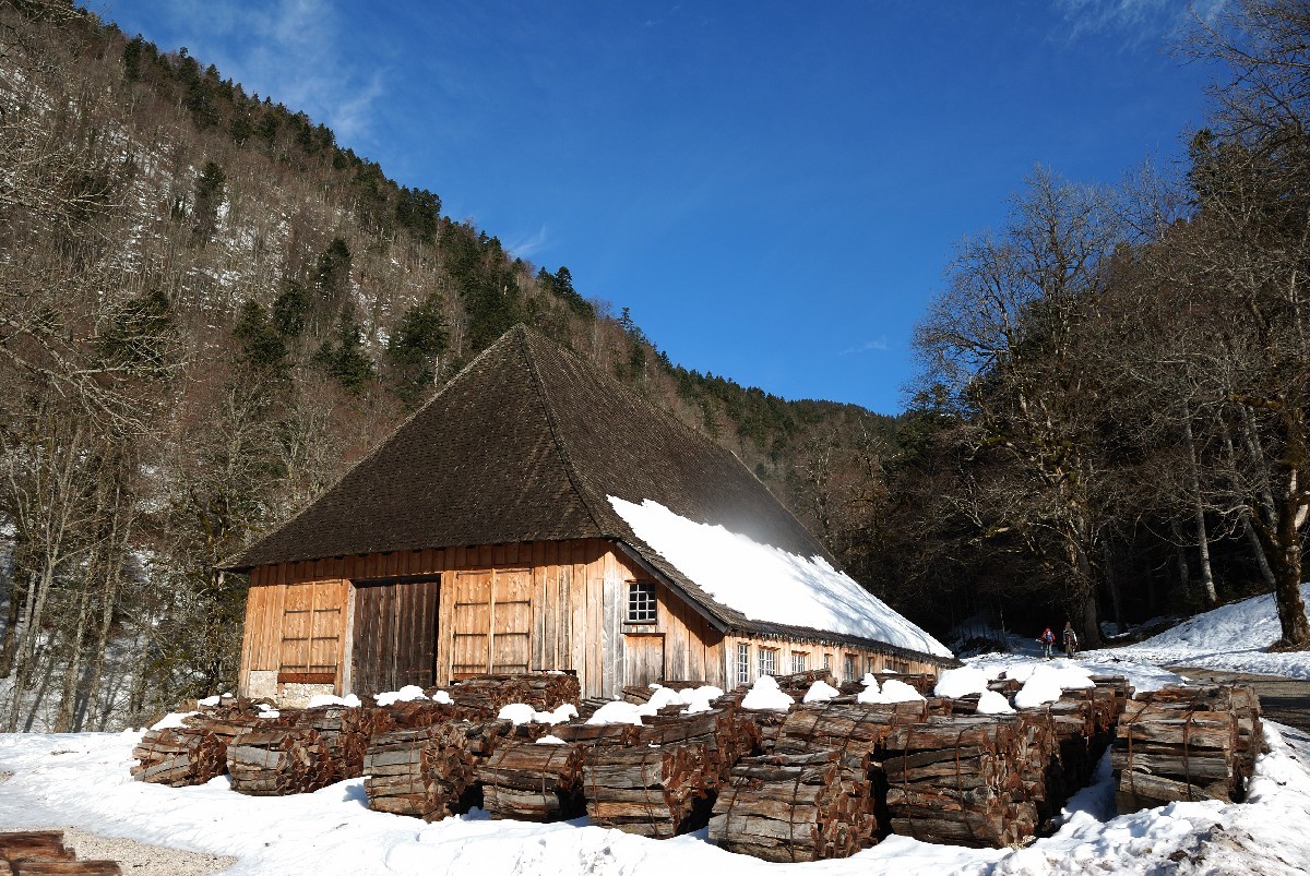 Près du Couvent de la Grande Chartreuse