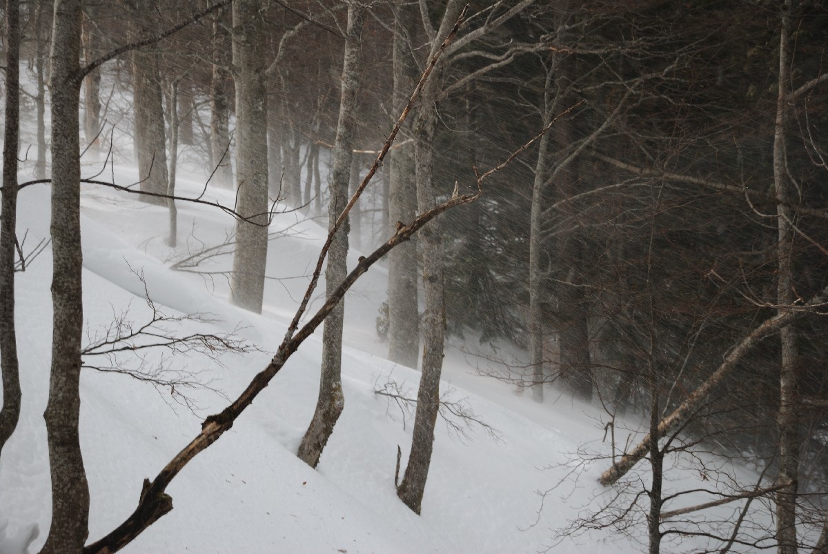 Tempête au Col de la Ruchère