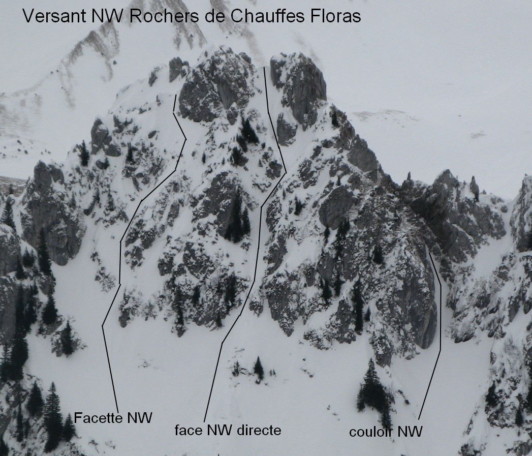 Versant NW rochers de Chauffes Floras