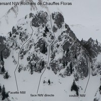 Versant NW rochers de Chauffes Floras
