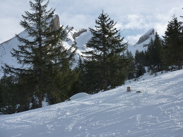 Salendo al Druesberg. Vista verso il Twariberg.