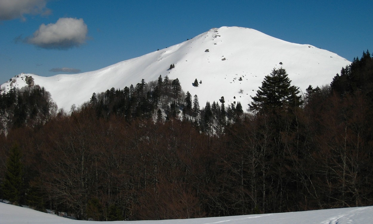 La Tête de Querellaire 1664m (face S) vue du Col de Menée