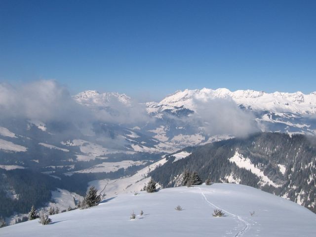 Aravis au soliel