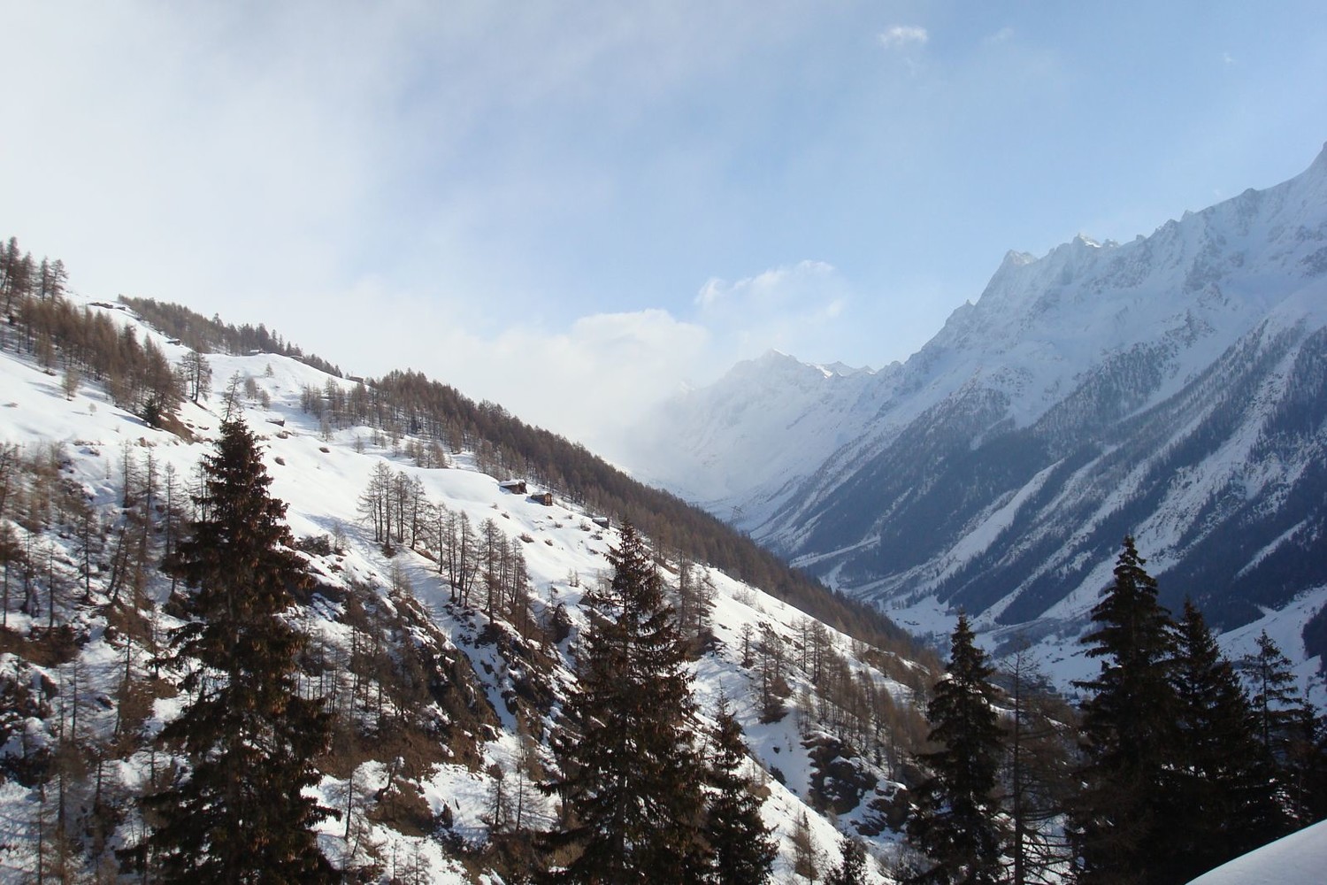 Vue sur Schällbatt