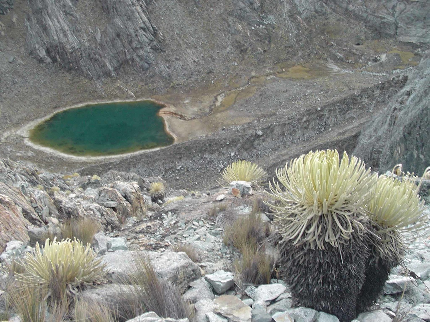laguna del suero