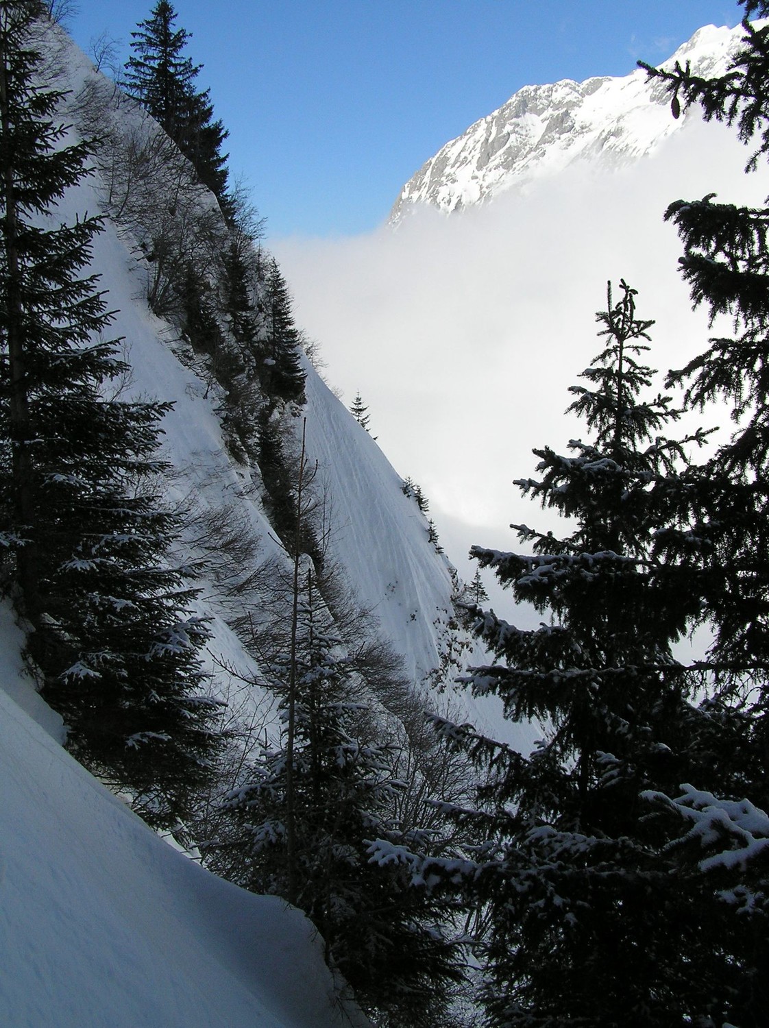 De la pente ! comme sur tout ce versant nord