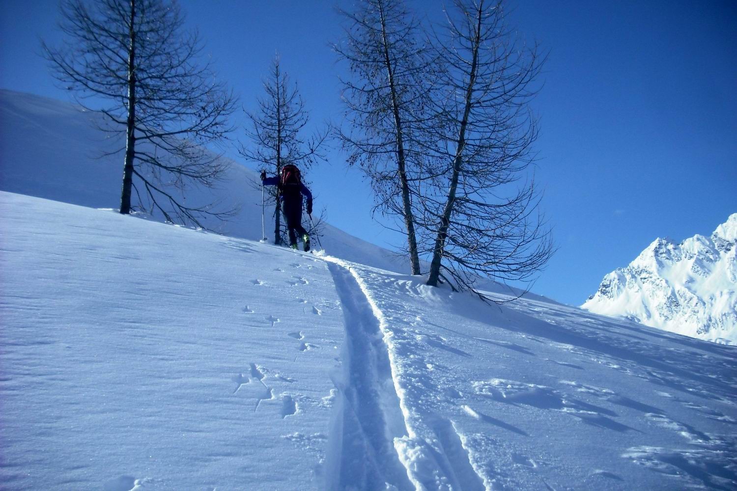 salita presso malga Frera