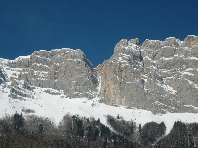 gerbier