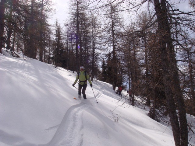 ...slalom tra le piante...