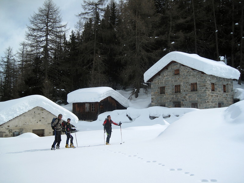 Alp Vartegna