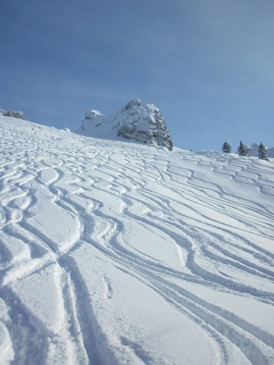 tanta neve per tutti