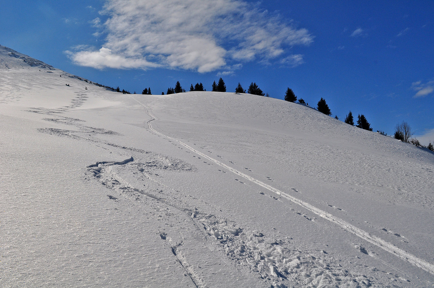 Descente Acte II