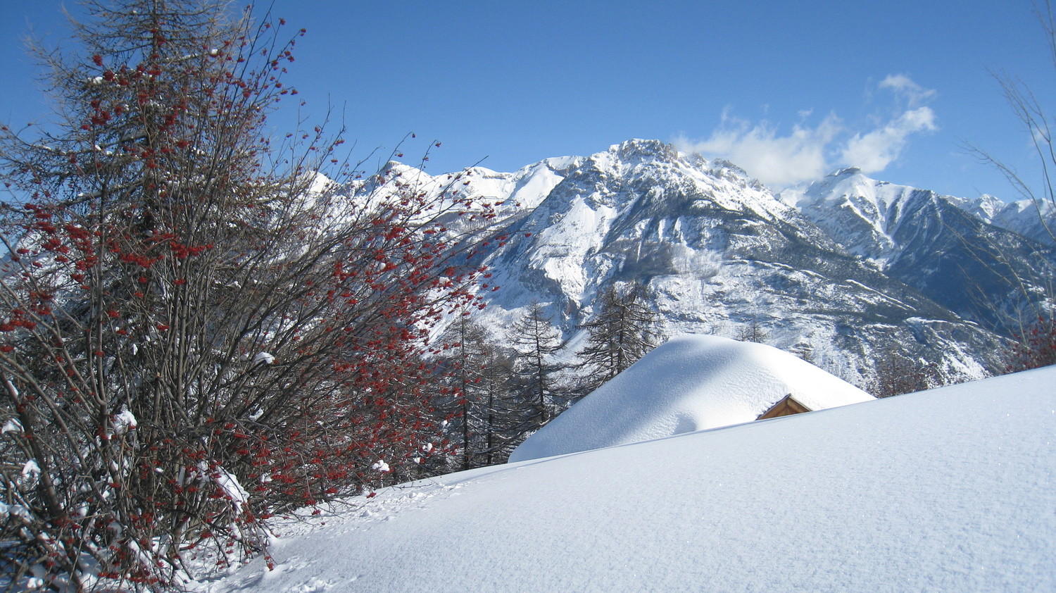 Chalet