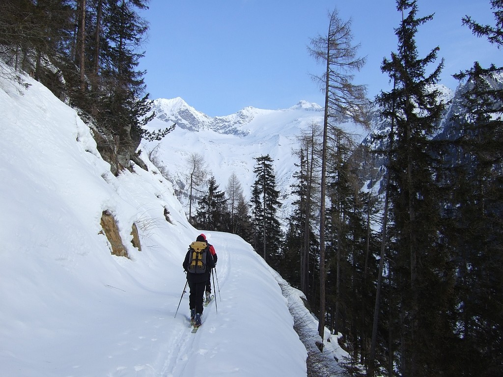 Salita per la forestale verso la Trippachtal
