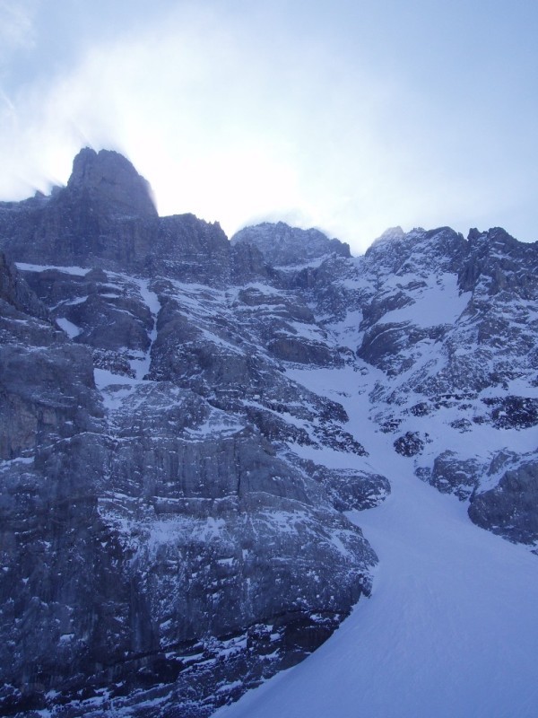 Vu du cône
