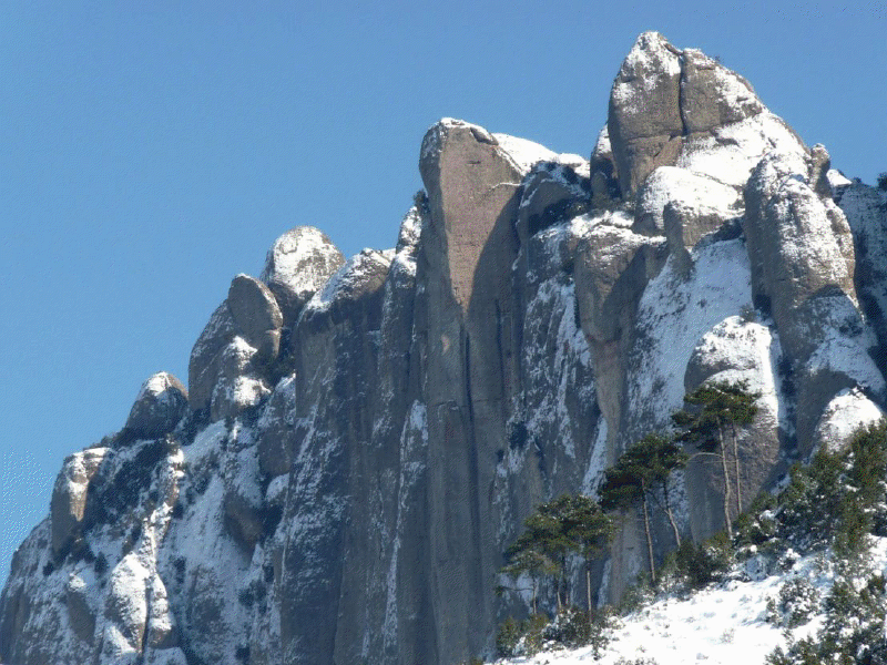 Montserrat nevat