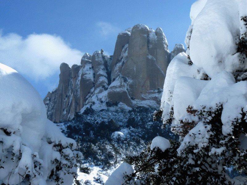 Montserrat nevat2
