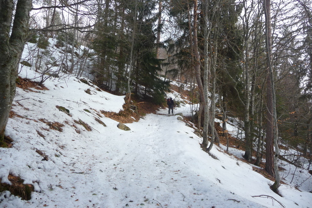 Montée ds la forêt