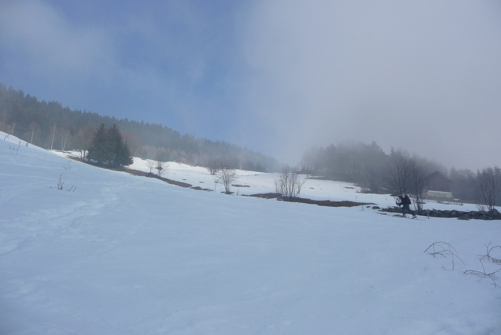 Puis ds les prés, le soleil apparaît