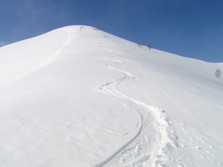 Serpentine dalla cima