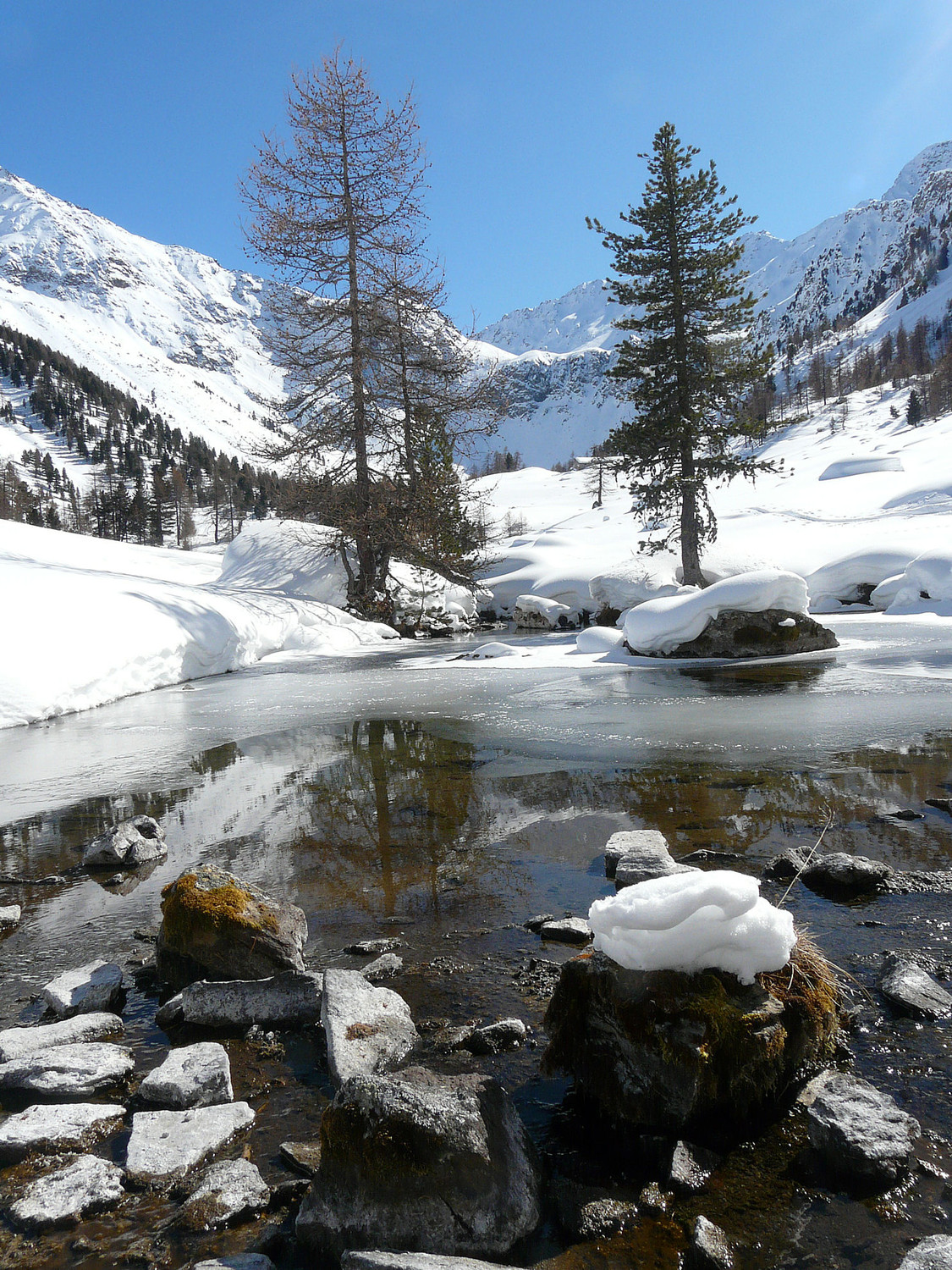 Halte bucolique à l'alpage de Comboé (val d'Aoste)