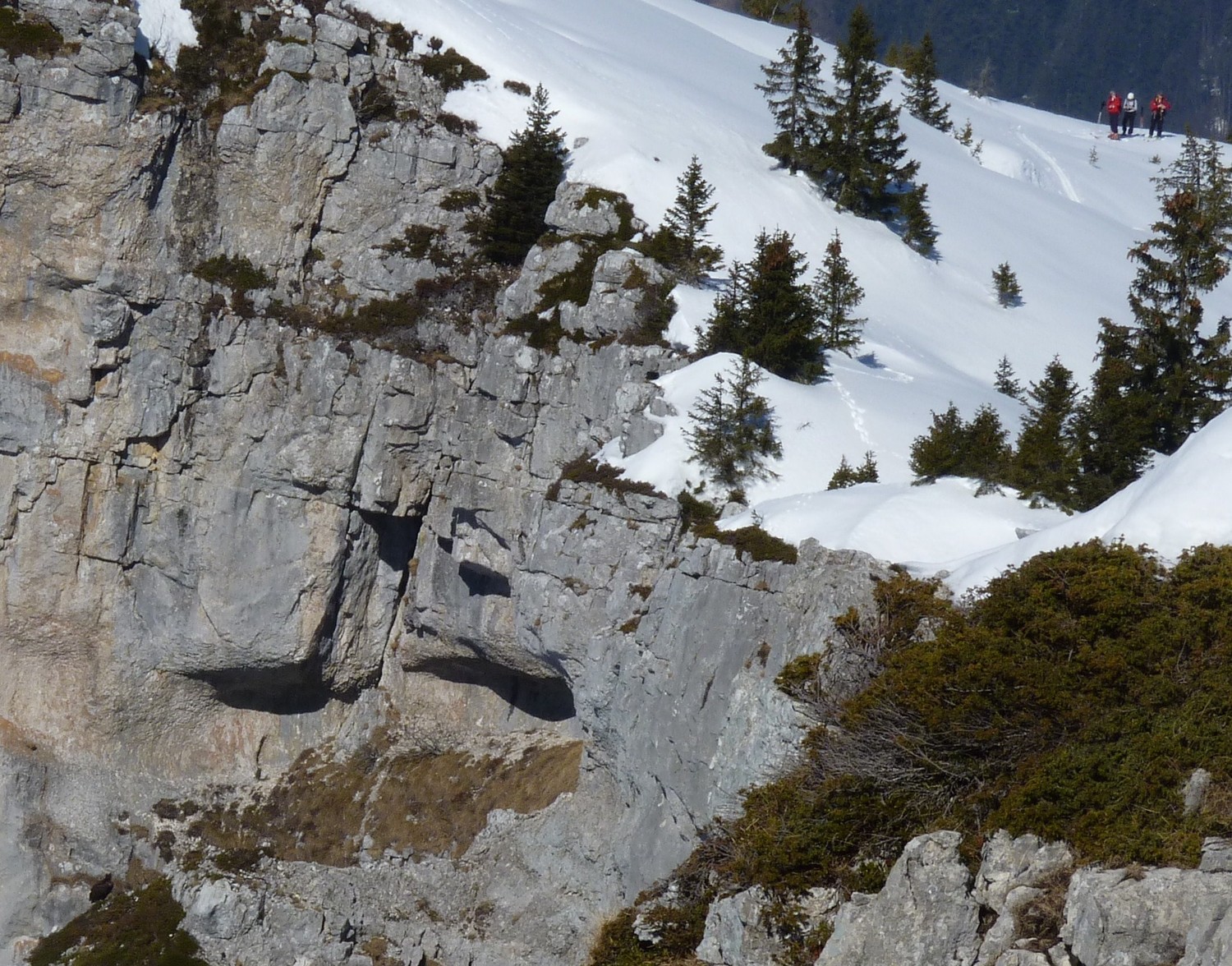 à gauche en bas l'oiseau, à droite en haut les bipèdes