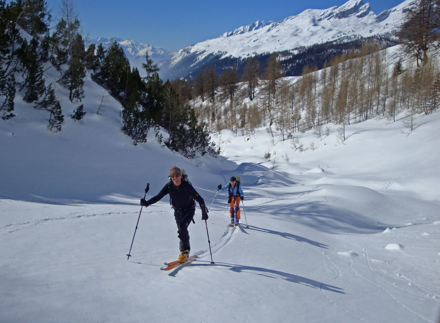 Très rare...lechoucas et Bertrand semés....!