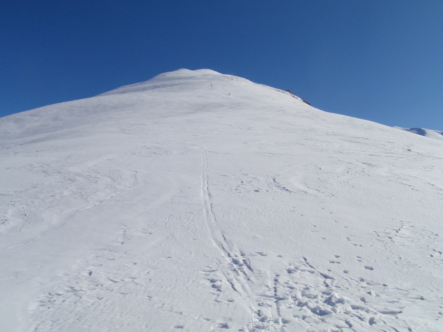 l'ampia dorsale
