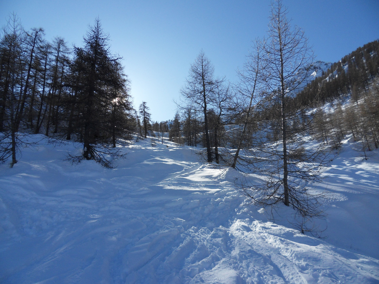 sotto il Bogani