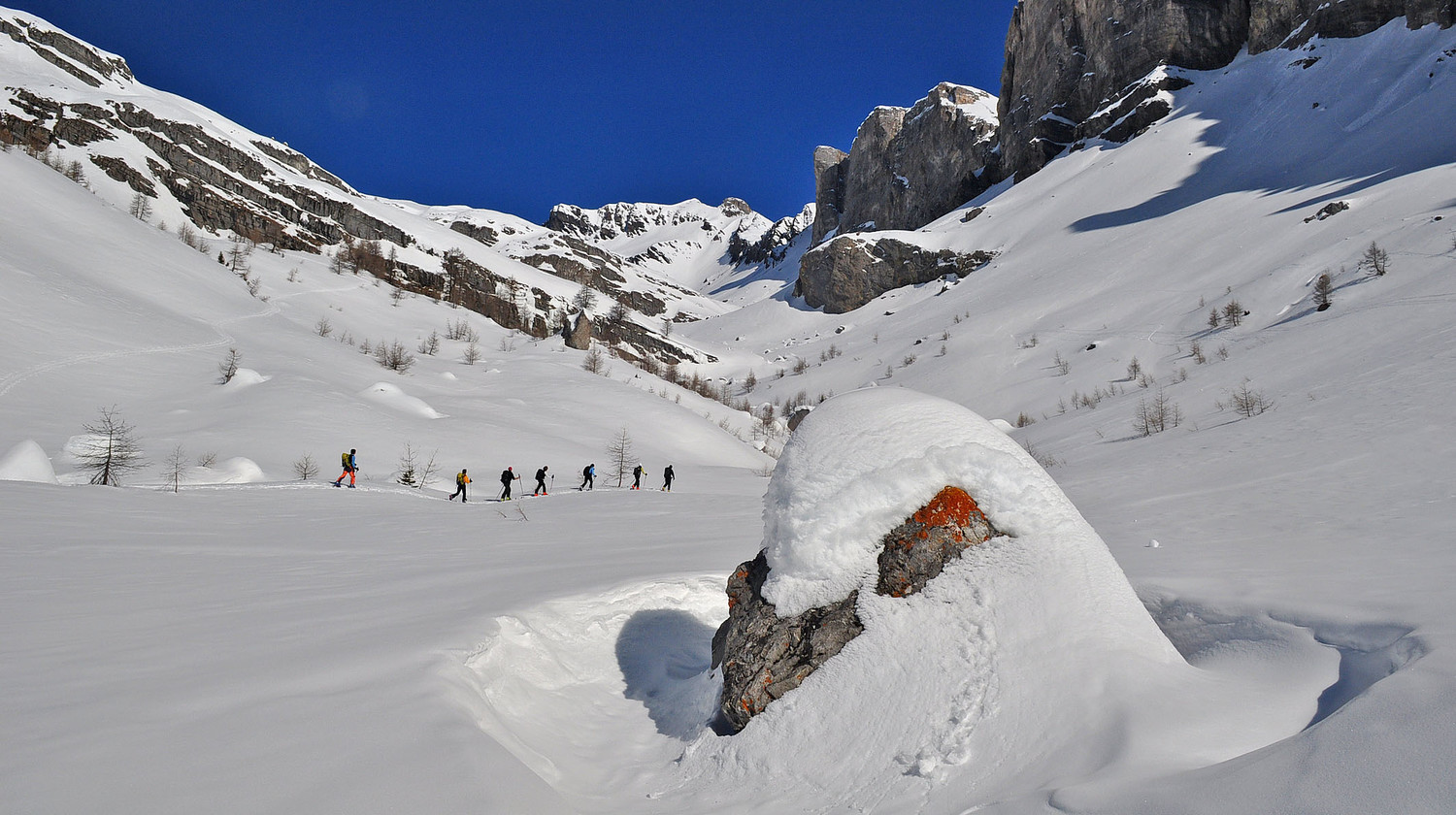 Chenille dans le Vallon de la Nétage