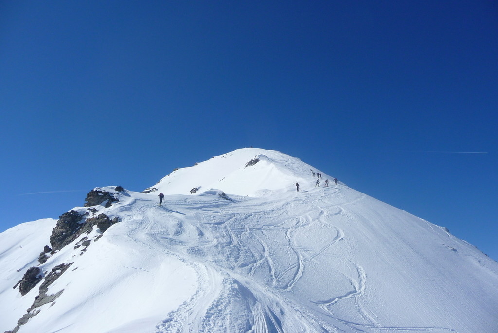Le Rogneux