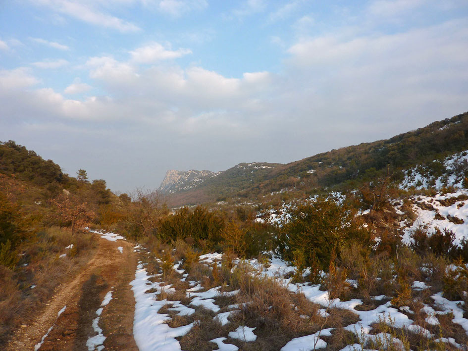 Pic St Loup ....au (très) loin