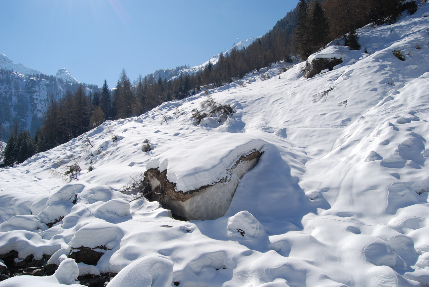 Residuo di valanga dell'inverno 2008-2009 a circa 1200 m in Valle della Pietra al 13-03-2010.
