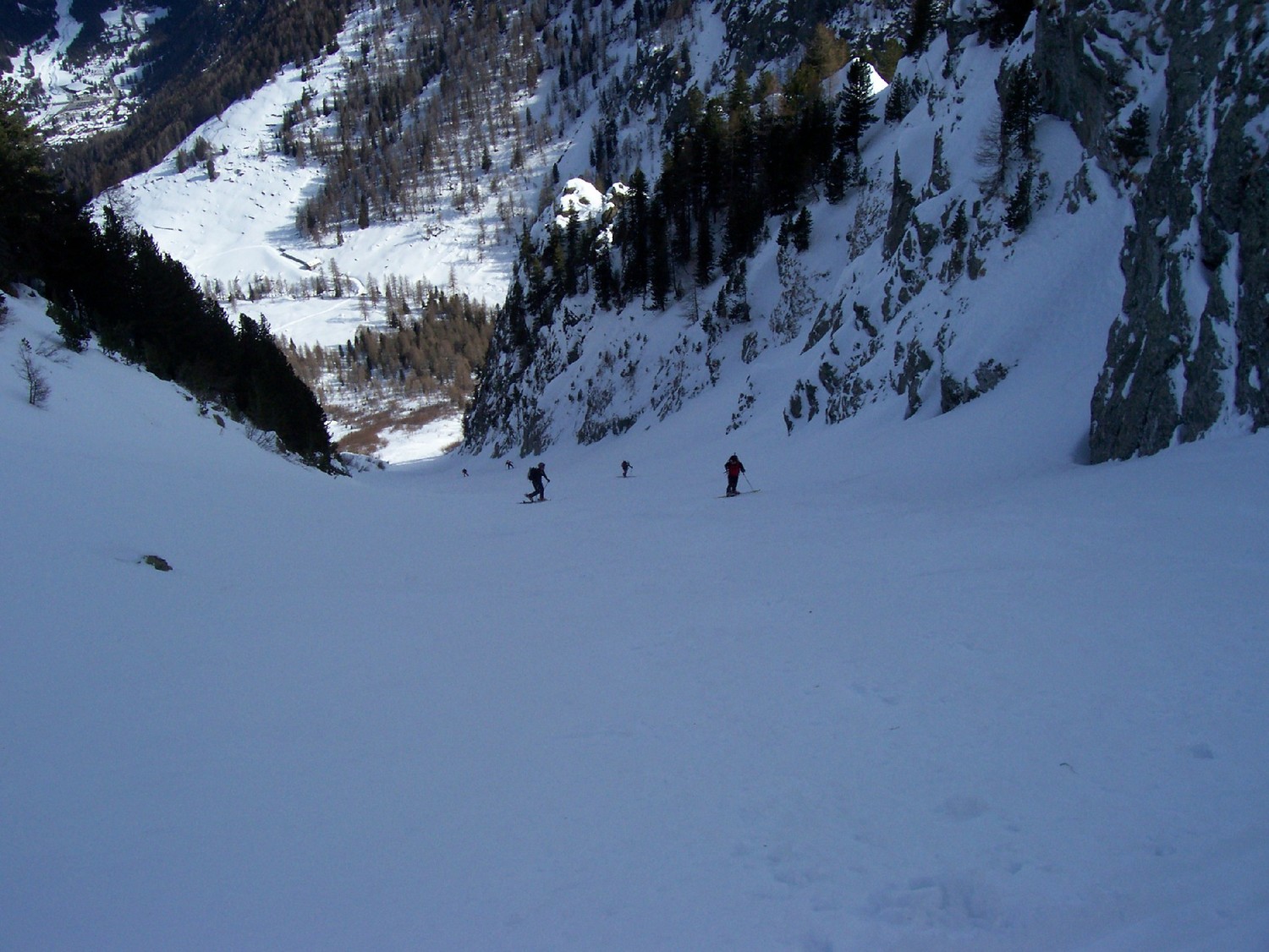 le formichine
