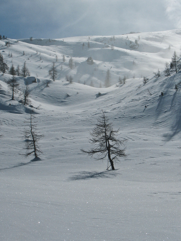 Vallonements