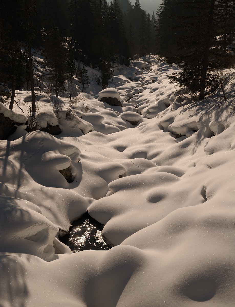 Partie inférieure du Vallon de Nétage
