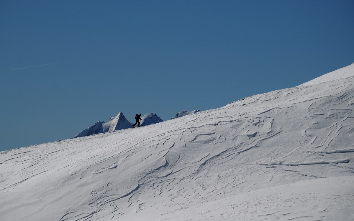 Le choucas dans la montée au Serac vers 2500m