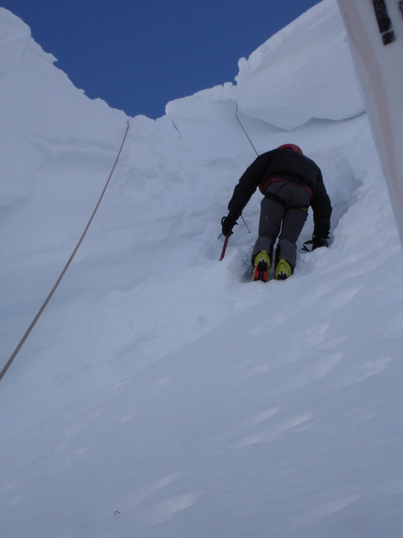 option du haut