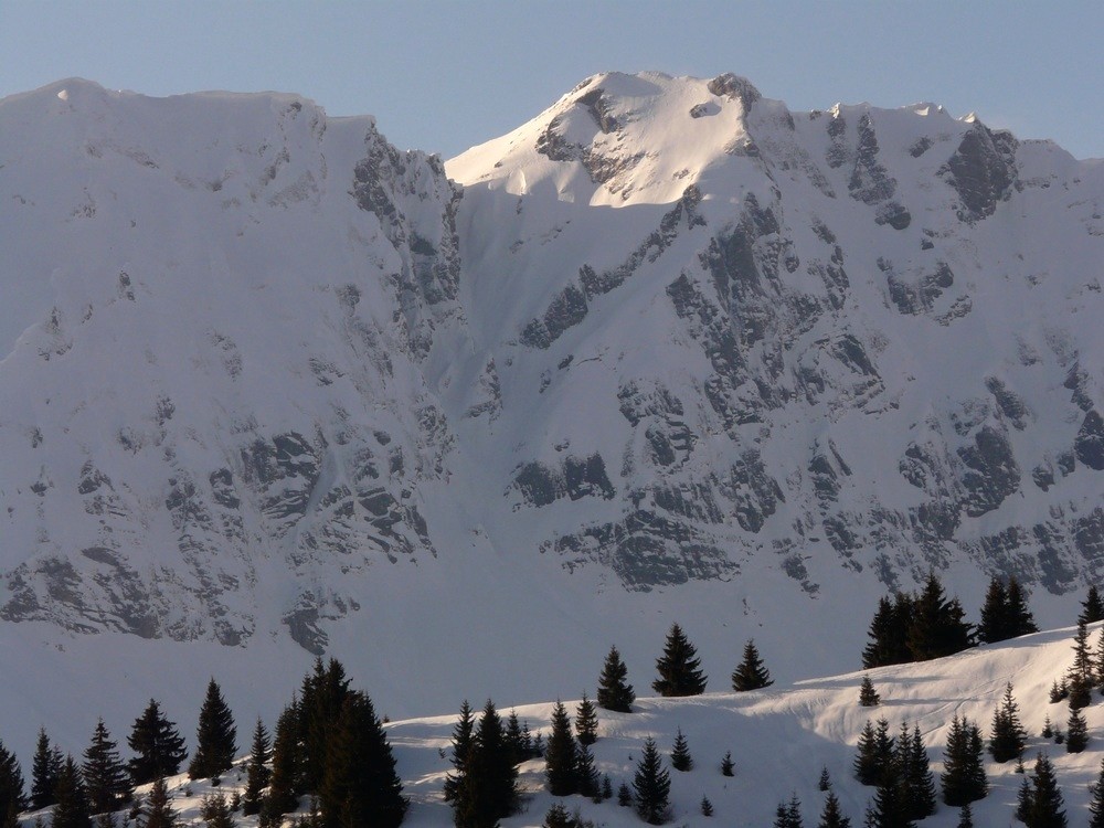 Tête Pelouse