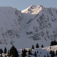 Tête Pelouse