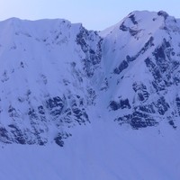 Tête Pelouse